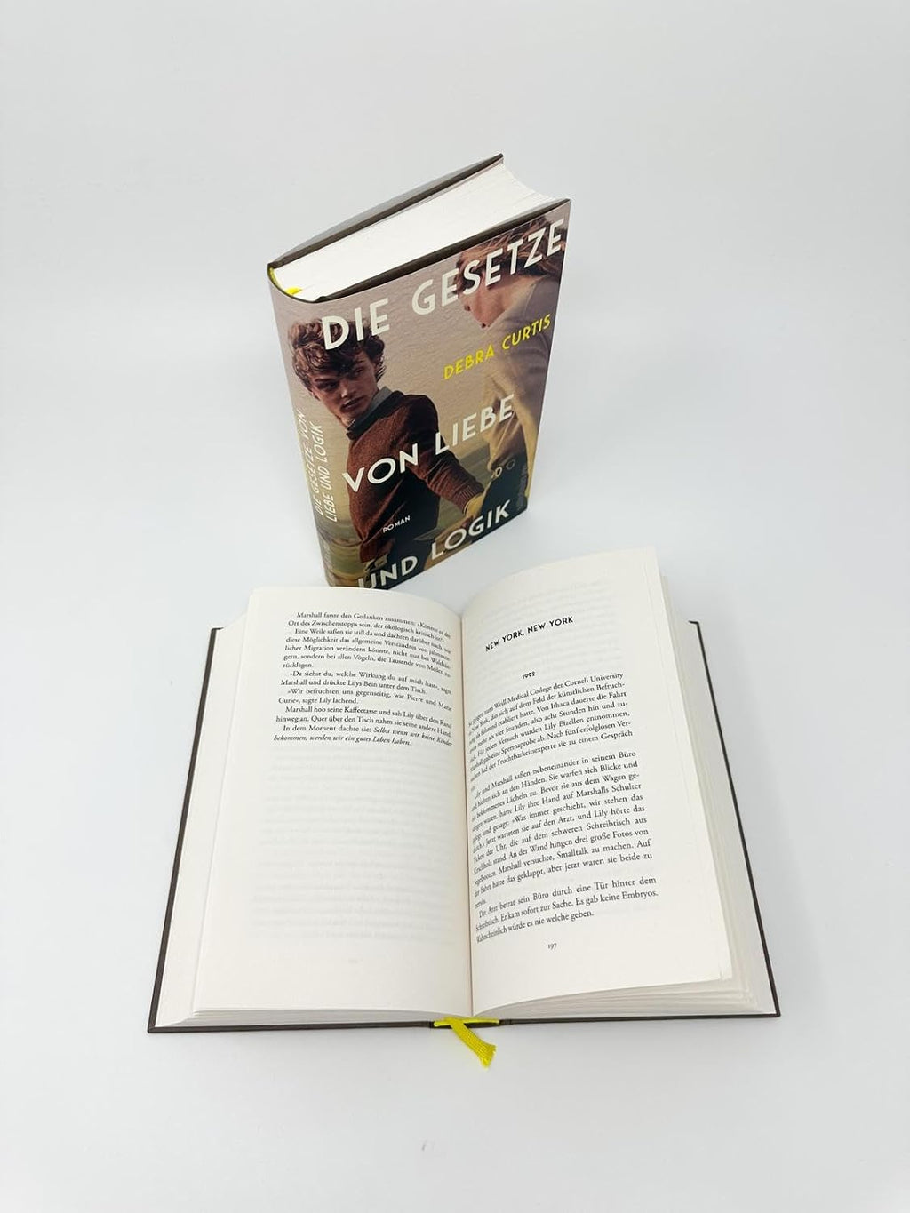 Die Gesetze von Liebe und Logik: Roman | »Eine großartige, fesselnde Liebesgeschichte« Clare Leslie Hall