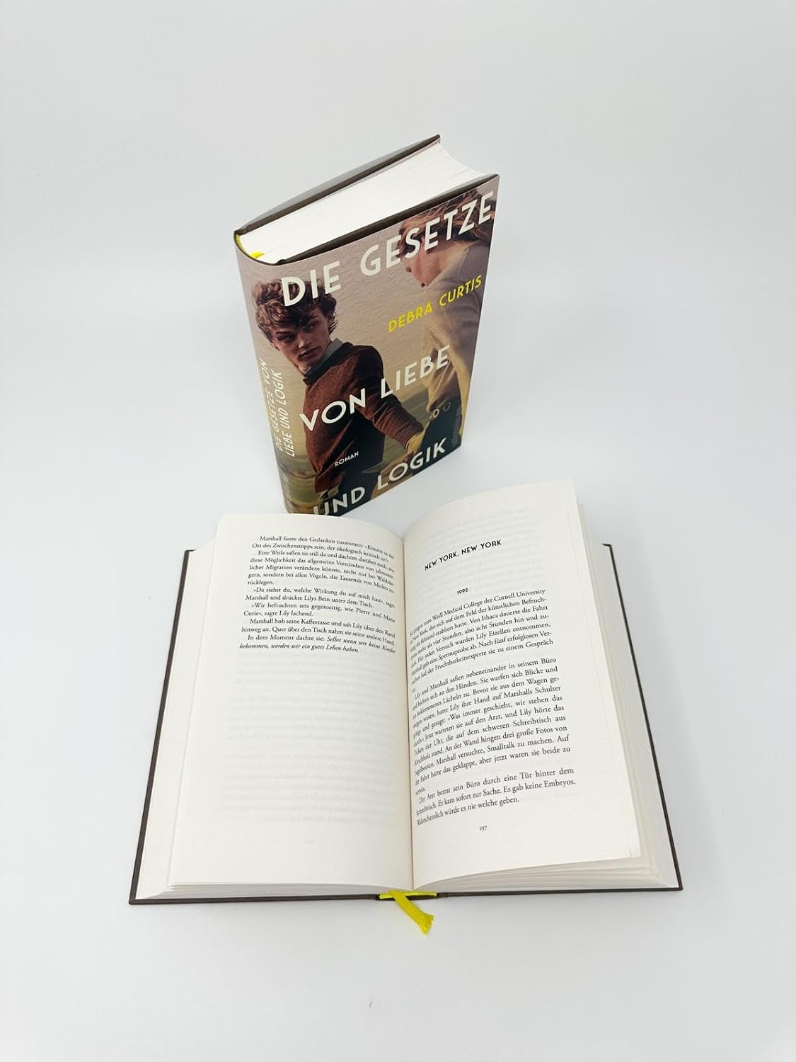 Die Gesetze von Liebe und Logik: Roman | »Eine großartige, fesselnde Liebesgeschichte« Clare Leslie Hall