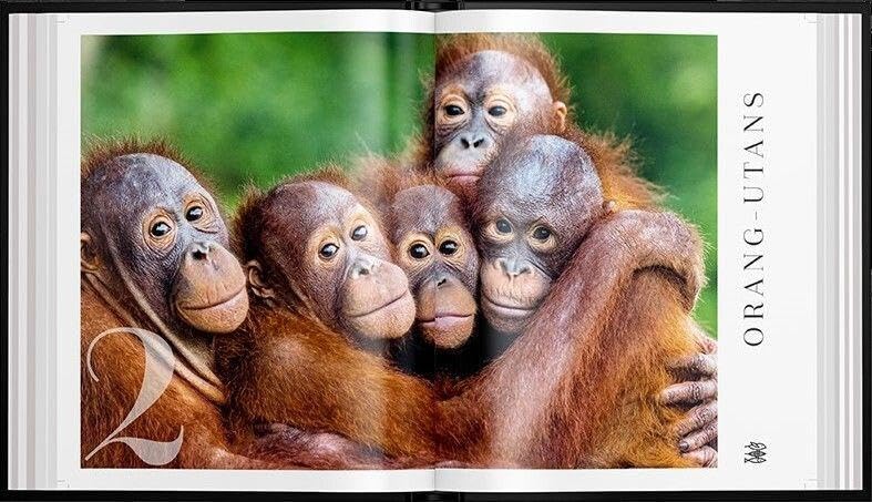 Mission Erde - Meer als nur ein Bildband: Folge Meeresbiologe, Umweltschützer und SPIEGEL-Bestseller-Autor Robert Marc Lehmann auf seinen Expeditionen & Undercover-Missionen zu bedrohten Tierarten!