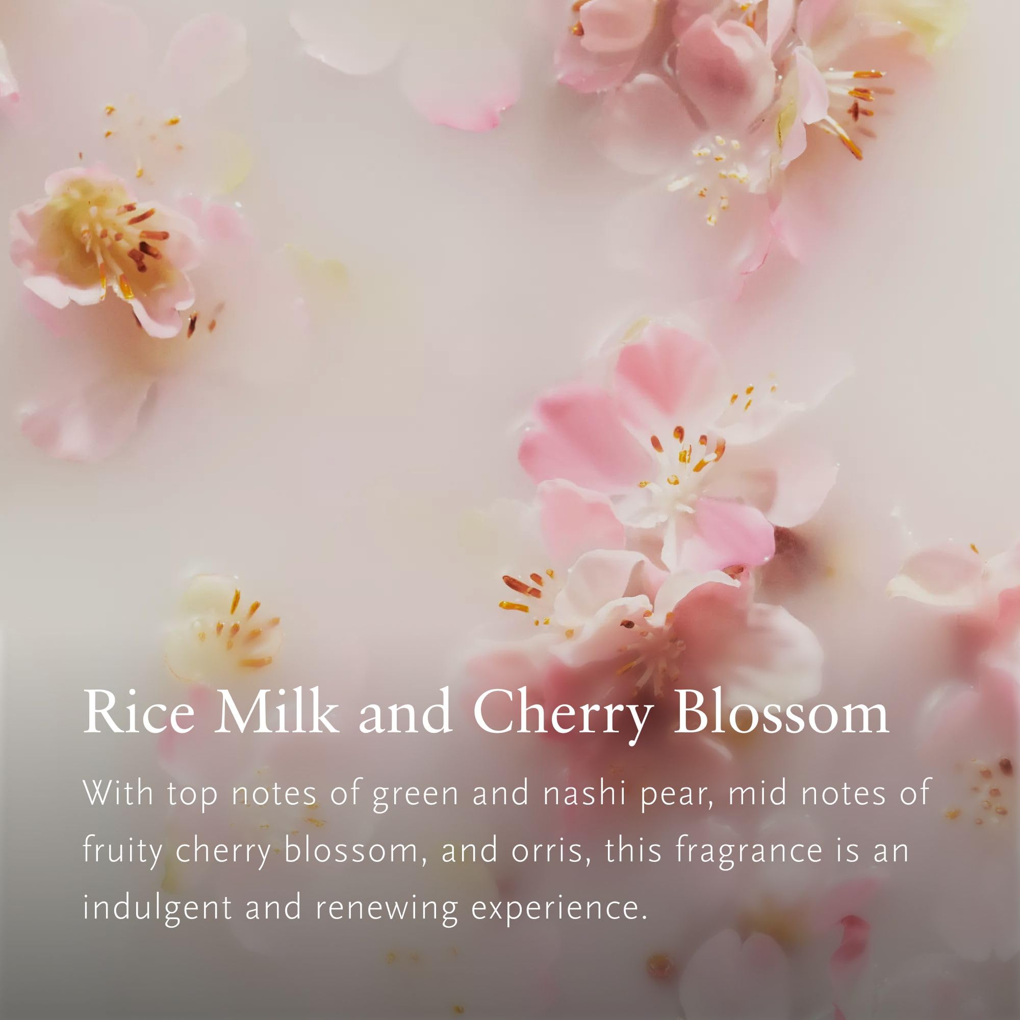 RITUALS The Ritual of Sakura Geschenkbox, klein, Reismilch und Kirschblüte