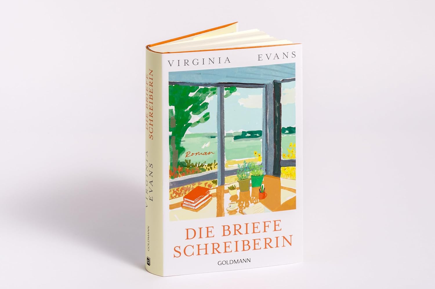 Die Briefeschreiberin: Roman - Der gefeierte Nr.1-Bestseller der New York Times - ausgezeichnet mit dem „Women’s Prize for Fiction“