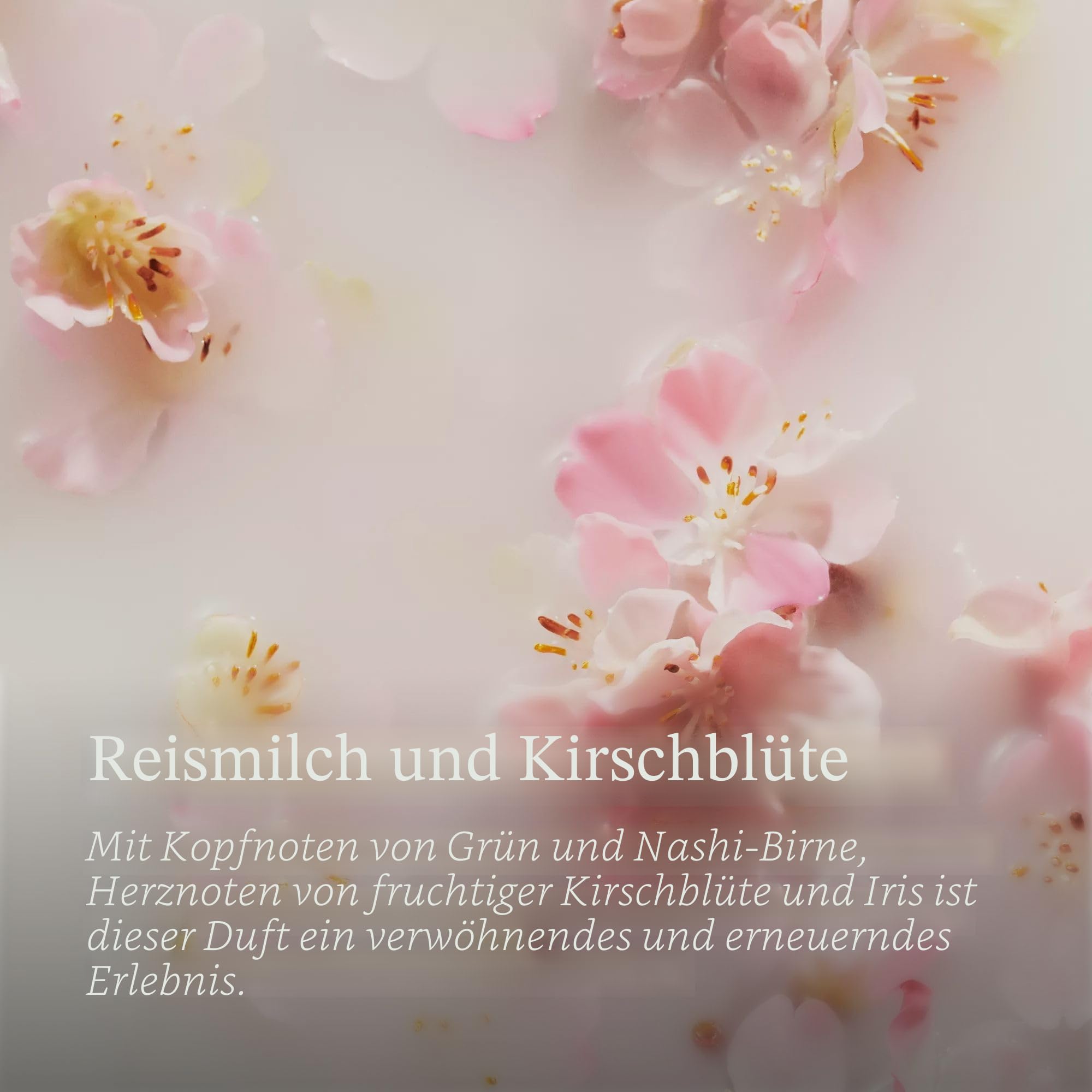 RITUALS The Ritual of Sakura Geschenkbox, klein, Reismilch und Kirschblüte