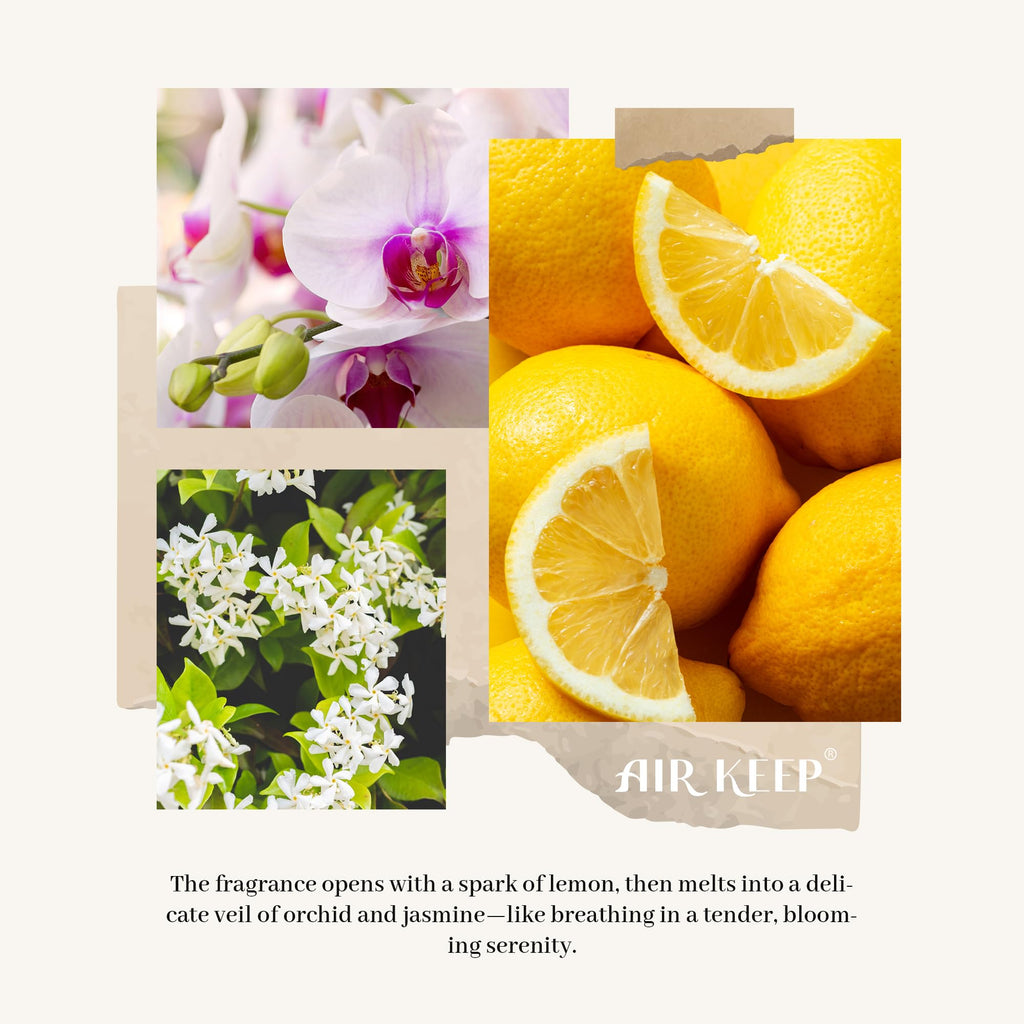 Airkeep Raumduft Clean Linen Duft, Reed Diffuser mit 8 Duftstäbchen, Lufterfrischer für Badezimmer, Wohnung, Heimdekoration, 100ml