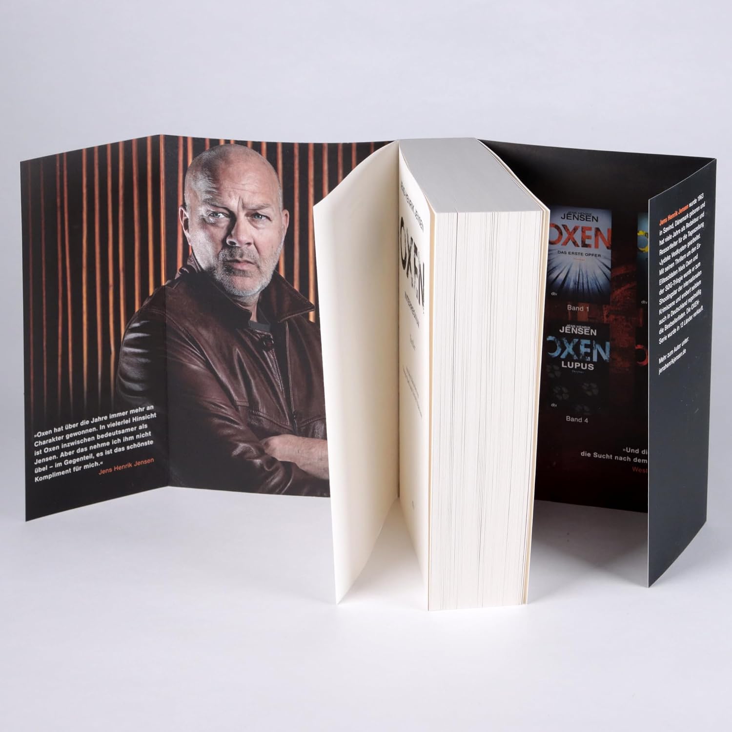 Oxen. Interregnum: Thriller (Niels-Oxen-Reihe, Band 7)