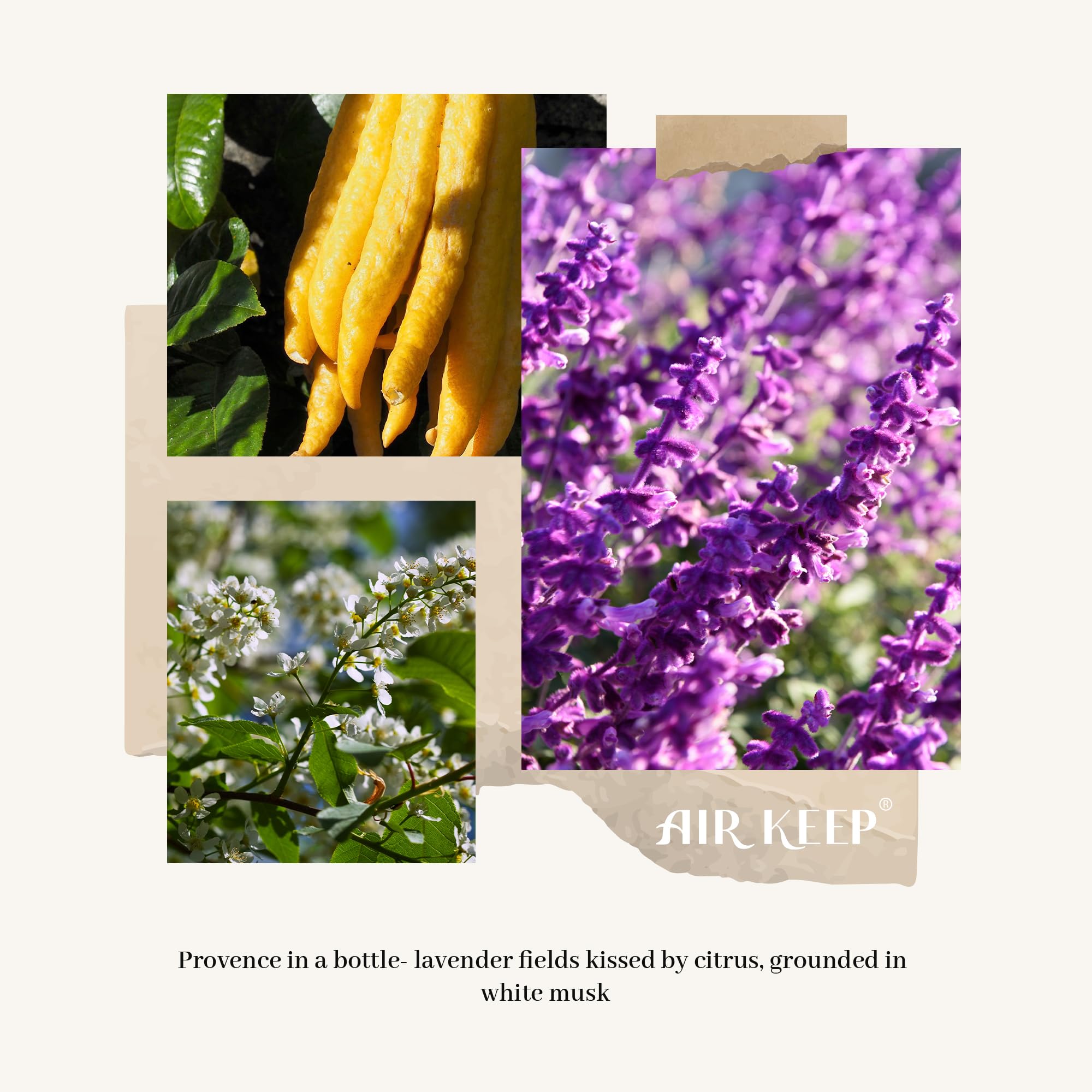 Airkeep Raumduft Clean Linen Duft, Reed Diffuser mit 8 Duftstäbchen, Lufterfrischer für Badezimmer, Wohnung, Heimdekoration, 100ml